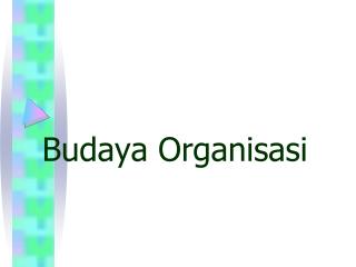 Budaya Organisasi