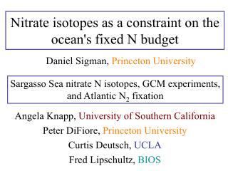 Nitrate isotopes as a constraint on the ocean's fixed N budget