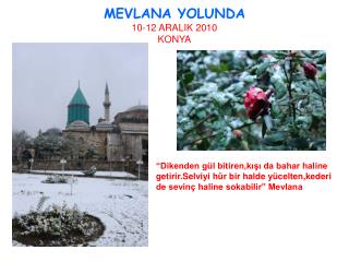 MEVLANA YOLUNDA 10-12 ARALIK 2010 KONYA