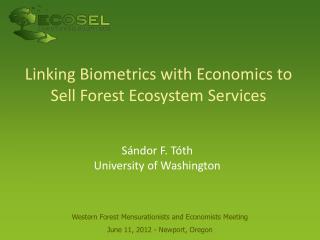 Linking Biometrics with Economics to Sell Forest Ecosystem Services