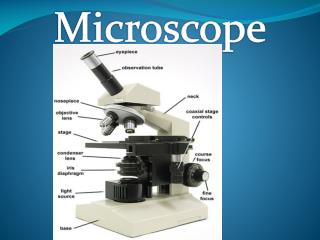 Microscope