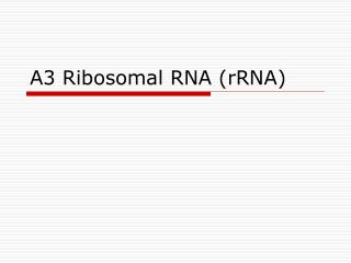 A3 Ribosomal RNA (rRNA)