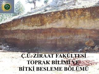 Ç.Ü. ZİRAAT FAKÜLTESİ TOPRAK BİLİMİ VE BİTKİ BESLEME BÖLÜMÜ