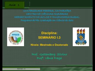 Disciplina: SEMINÁRIO I.3 Níveis: Mestrado e Doutorado Prof. Guttemberg Silvino