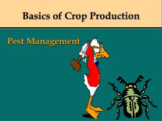 Basics of Crop Production