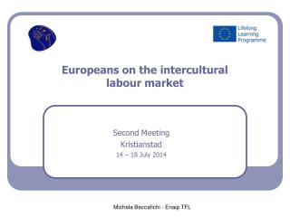 Europeans on the intercultural labour market