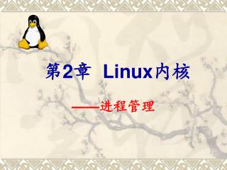 第 2 章 Linux 内核