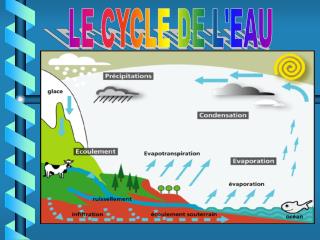 LE CYCLE DE L'EAU