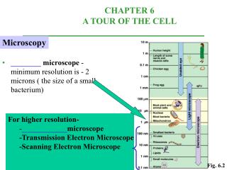 ________ microscope -minimum resolution is - 2 microns ( the size of a small bacterium)