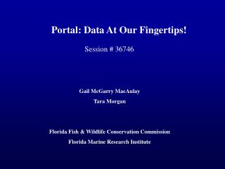 Portal: Data At Our Fingertips!