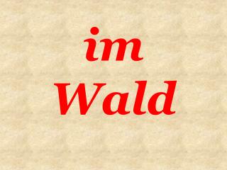 im Wald