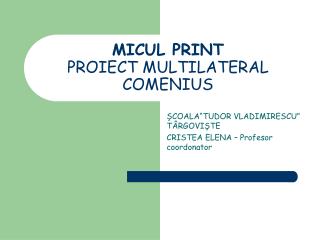 MICUL PRINT PROIECT MULTILATERAL COMENIUS