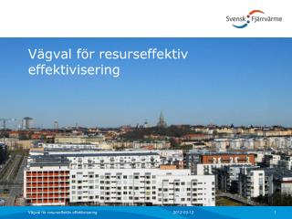 Vägval för resurseffektiv effektivisering