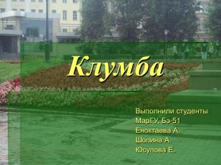 Клумба