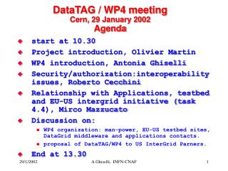 DataTAG / WP4 meeting Cern, 29 January 2002 Agenda