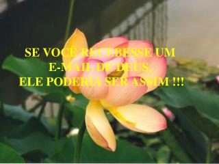SE VOCÊ RECEBESSE UM E-MAIL DE DEUS, ELE PODERIA SER ASSIM !!!