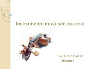Instrumente muzicale cu corzi