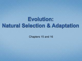 Evolution: Natural Selection &amp; Adaptation