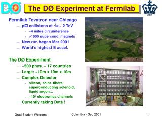 The D Ø Experiment at Fermilab
