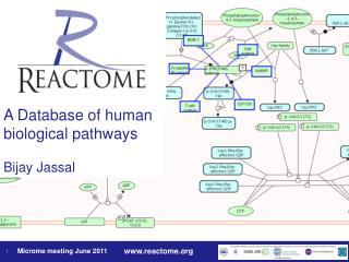 A Database of human biological pathways Bijay Jassal