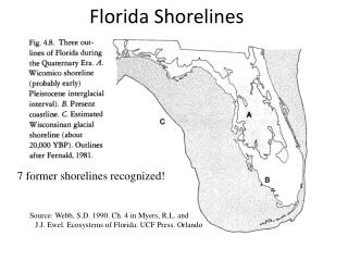 Florida Shorelines