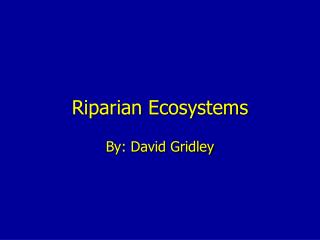 Riparian Ecosystems