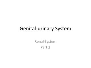 Genital-urinary System