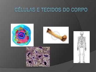 CÉLULAS E TECIDOS DO CORPO