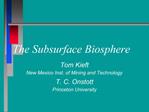 The Subsurface Biosphere