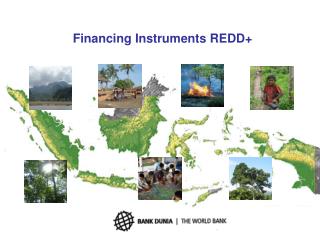 Financing Instruments REDD+