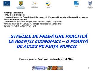 Manager proiect: Prof. univ. dr. ing. Ioan ILEANĂ
