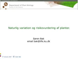 Naturlig variation og risikovurdering af planter. Søren Bak email bak@life.ku.dk