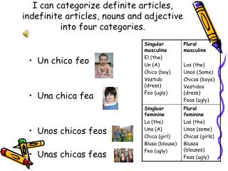 I can categorize definite articles, indefinite articles, nouns and adjective into four categories.