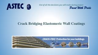 Crack Bridging Elastomeric Wall Coatings