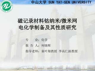 磁记录材料钴纳米 / 微米网 电化学制备 及 其性质研究