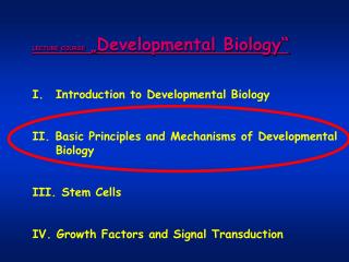 LECTURE COURSE „ Developmental Biology“ Introduction to Developmental Biology