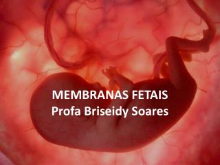 MEMBRANAS FETAIS Profa Briseidy Soares