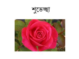 পরিচিতি
