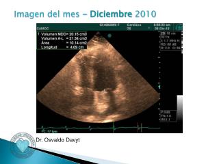 Imagen del mes - Diciembre 2010