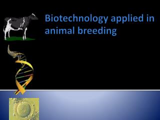 PPT - Biotechnology Applied In Animal Breeding PowerPoint Presentation ...