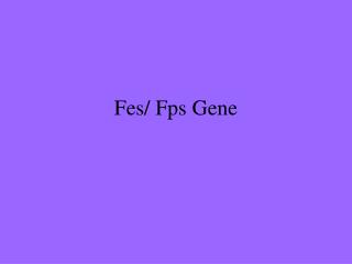 Fes/ Fps Gene