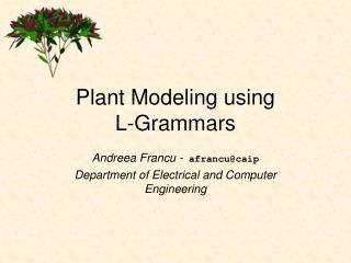 Plant Modeling using L-Grammars