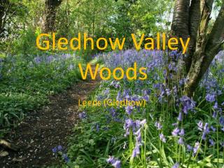 Gledhow Valley Woods