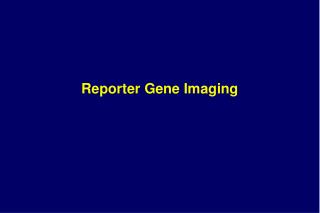 Reporter Gene Imaging