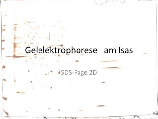 Gelelektrophorese	am Isas