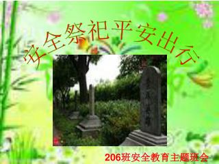 206 班安全教育主题班会