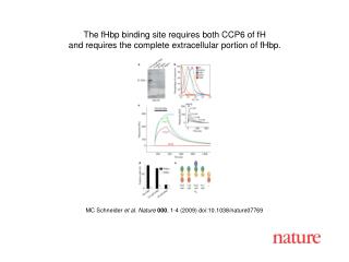 MC Schneider et al. Nature 000 , 1-4 (2009) doi:10.1038/nature07769