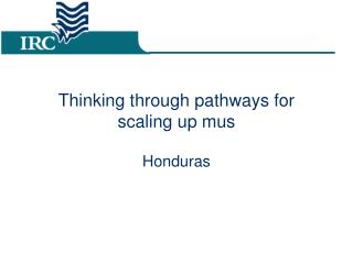 Thinking through pathways for scaling up mus