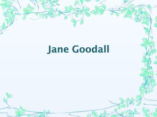 Jane Goodall