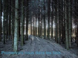 Promenons nous dans les bois…